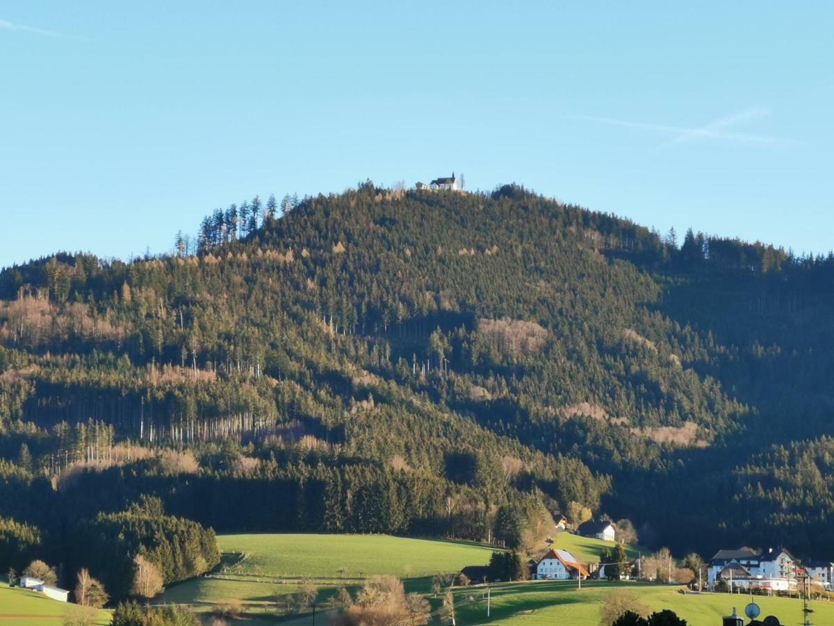 Modernes Appartement Schwarzwald Naehe Freiburg Winden im Elztal Buitenkant foto