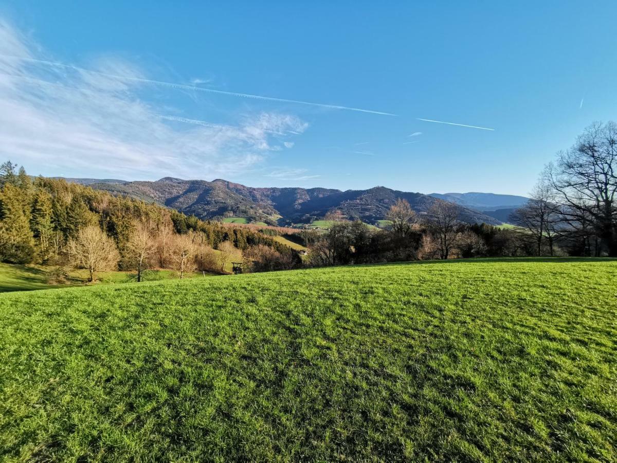 Modernes Appartement Schwarzwald Naehe Freiburg Winden im Elztal Buitenkant foto