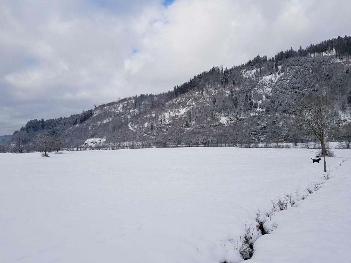 Modernes Appartement Schwarzwald Naehe Freiburg Winden im Elztal Buitenkant foto