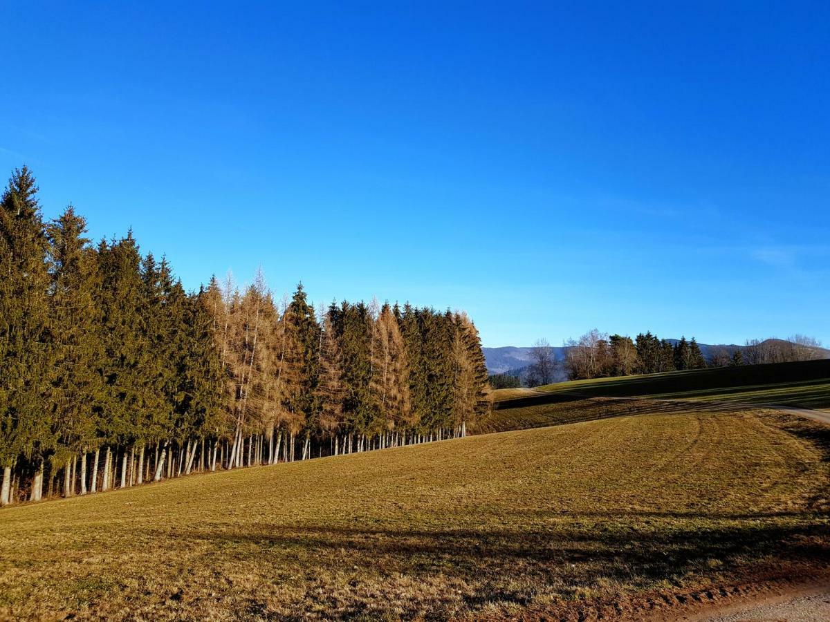 Modernes Appartement Schwarzwald Naehe Freiburg Winden im Elztal Buitenkant foto
