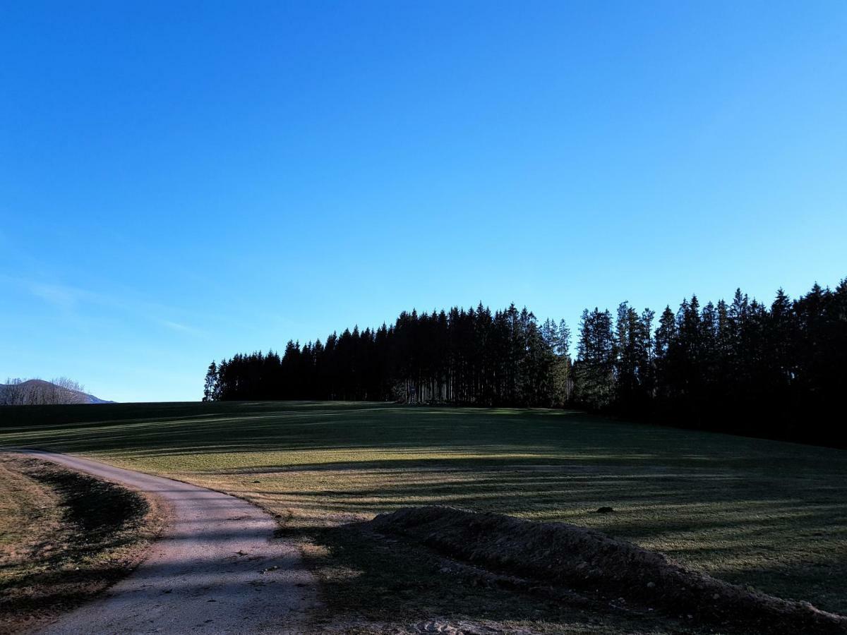 Modernes Appartement Schwarzwald Naehe Freiburg Winden im Elztal Buitenkant foto
