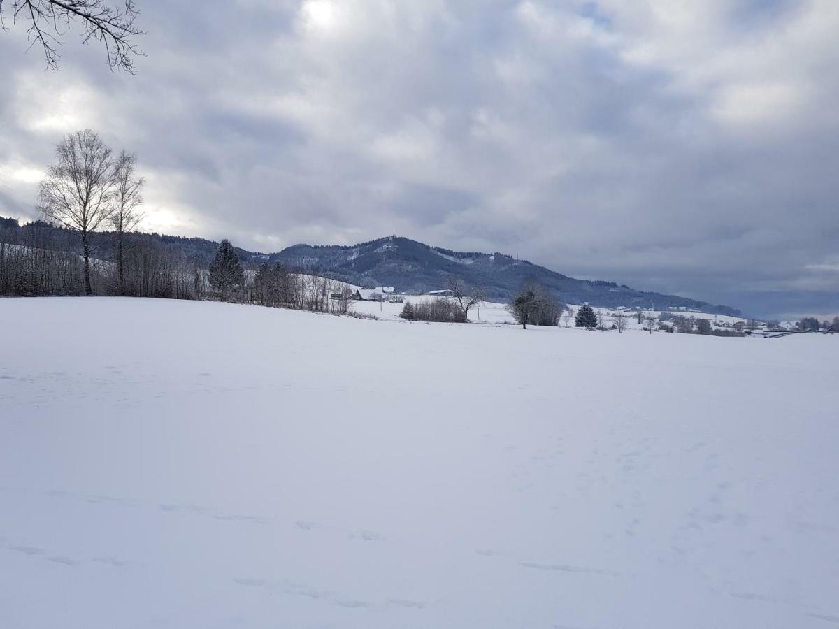 Modernes Appartement Schwarzwald Naehe Freiburg Winden im Elztal Buitenkant foto