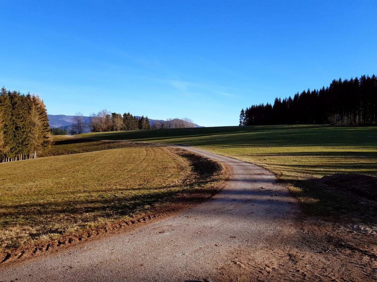 Modernes Appartement Schwarzwald Naehe Freiburg Winden im Elztal Buitenkant foto