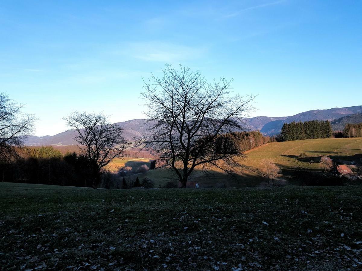 Modernes Appartement Schwarzwald Naehe Freiburg Winden im Elztal Buitenkant foto