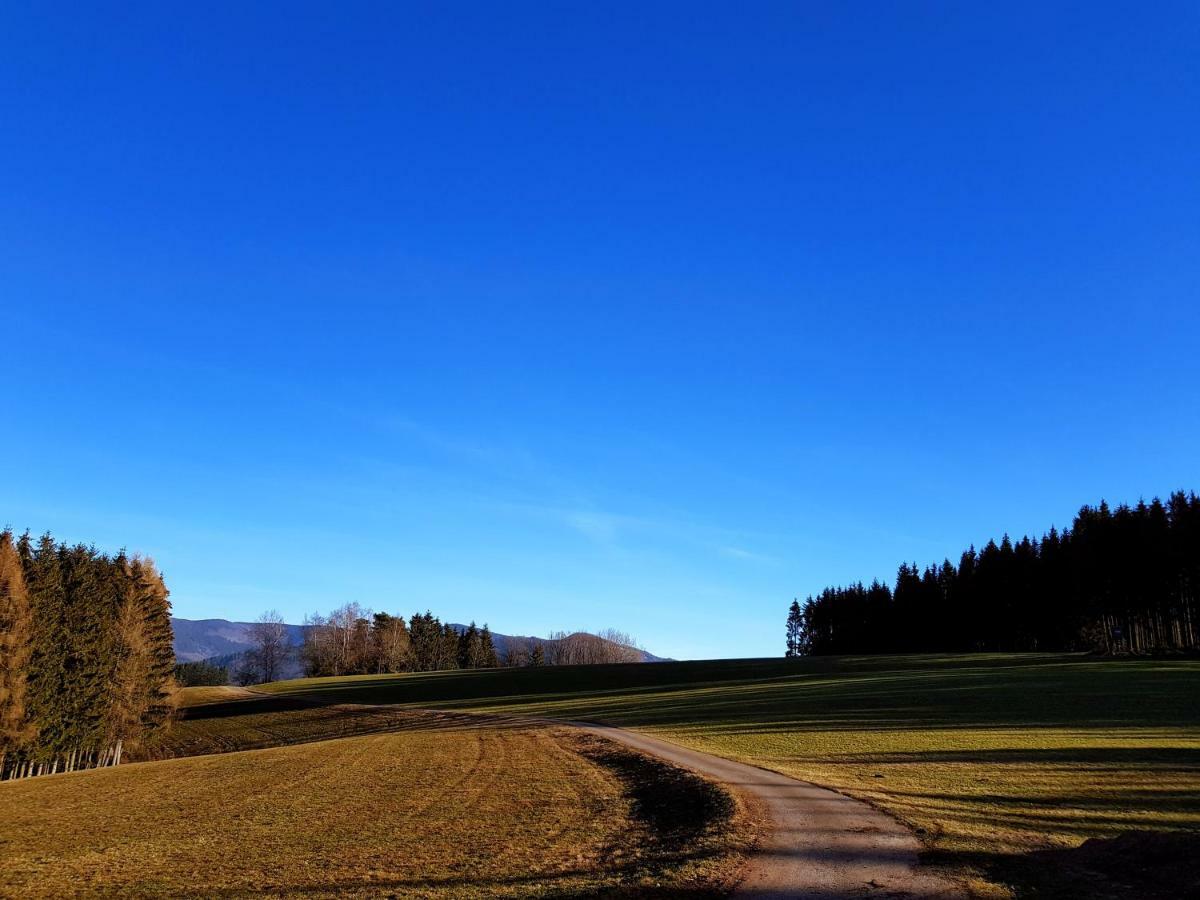 Modernes Appartement Schwarzwald Naehe Freiburg Winden im Elztal Buitenkant foto